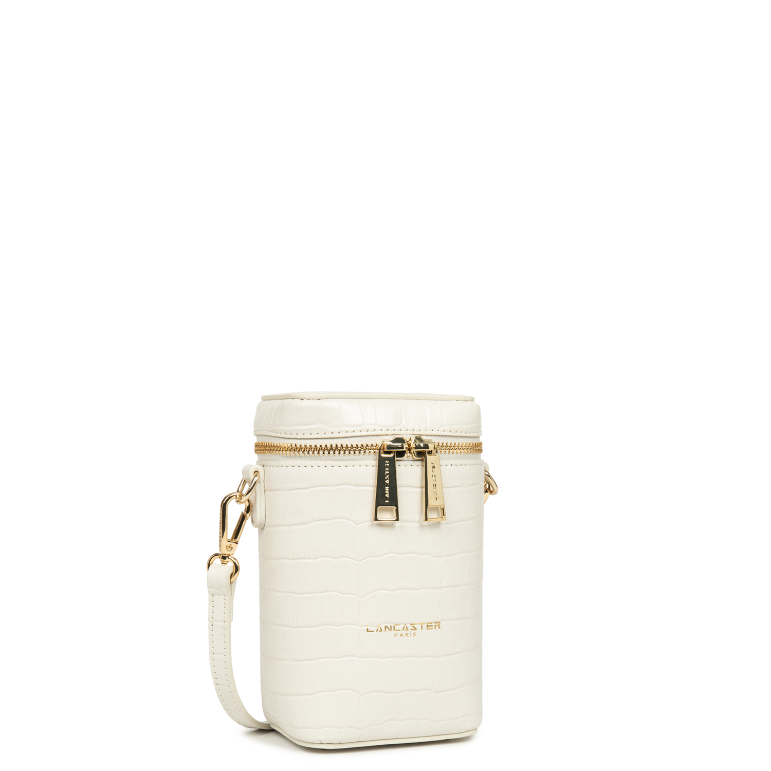 Mini top zip vanity crossbody sale